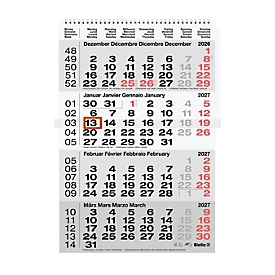 Succes Biella 4-Monats-Wandkalender grau 31 x 47 cm, 4 Monate pro Seite, Wire-O-Bindung mit Aufhängung, übersichtliche Terminplanung für Büro & Homeoffice


