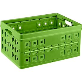 Sunware Square Klappbox, Inhalt 46 Liter, mit Durchfassgriff, grün