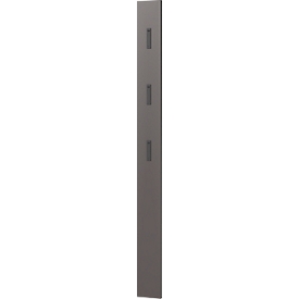 Susanna kapstokpaneel, wandbevestiging, 3 opklapbare haken, tot 5 kg, B 150 x D 30 x H 1700 mm, MDF, mat grafiet