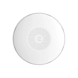 Teltonika TAP100 - Accesspoint - Wi-Fi - 2.4 GHz