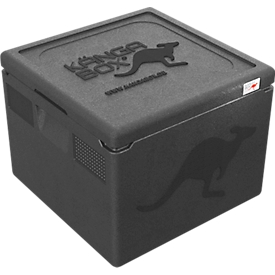 Thermobox Kängabox® Easy S, Volumen 21 l, Tragegriffe, stapelbar, mit Deckel, wiederverwendbar, L 410 x B 410 x H 240 mm, EPP, schwarz