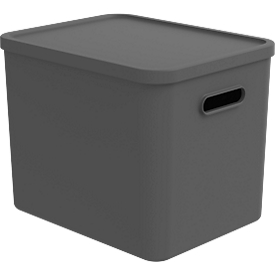 Transportbox Rotho Albula, Volumen 27 l, stapelbar, mit abnehmbarem Deckel und Grifflöchern, L 370 x B 290 x H 295 mm, Recycling-Kunststoff, anthrazit