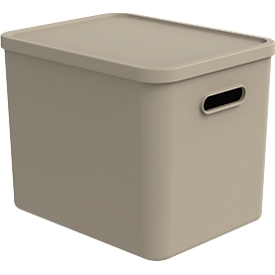 Transportbox Rotho Albula, Volumen 27 l, stapelbar, mit abnehmbarem Deckel und Grifflöchern, L 370 x B 290 x H 295 mm, Recycling-Kunststoff, braun