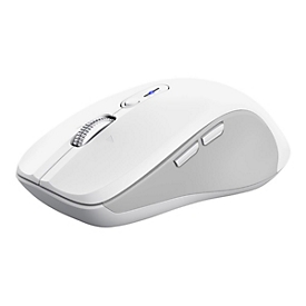 Trust Ferro - Maus - Hyperscroll, Multi-Gerät - Für Rechtshänder - optisch - 9 Tasten - kabellos - 2.4 GHz, Bluetooth - kabelloser Empfänger (USB)