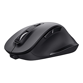 Trust Fyda Comfort - Maus - eco - ergonomisch - Für Rechtshänder - optisch - 6 Tasten - kabellos - 2.4 GHz - kabelloser Empfänger (USB)