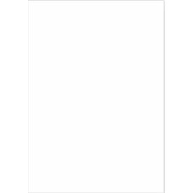 Universal-Etiketten, 210,0 x 297,0 mm = A4, Permanentkleber, 100 Stück