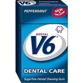 V6 Dental Care Peppermint, 24g