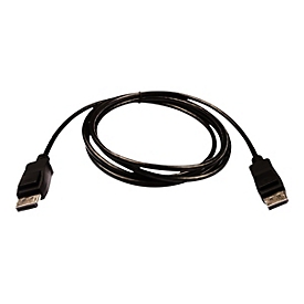 V7 - DisplayPort-Kabel - DisplayPort zu DisplayPort - 2 m