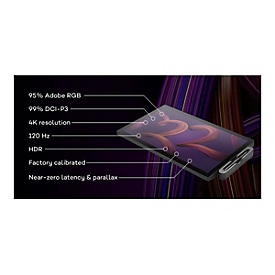 Wacom Cintiq Pro 22 - Digitalisierer mit LCD Anzeige - 47.6 x 26.8 cm - Multi-Touch - elektromagnetisch - 8 Tasten