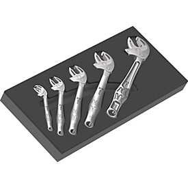 WERA gereedschapmodule 9732, 5-delig, schuiminzet, water- en olieafstotend, B x H x D 172 x 35 x 392 mm