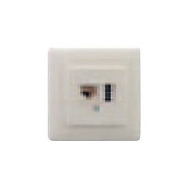 ZE KOMMUNIKATIONSTECHNIK Kombidose IAE/UAE 8(6)-TAE 6 F+N - Anschlussdose, Unterputz - TAE-F+N, RJ-45 (6-polig) - Pure White, RAL 9010