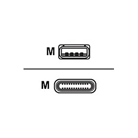 Zebra CBL-MPM-USB1-01 - USB A - USB C - Noir