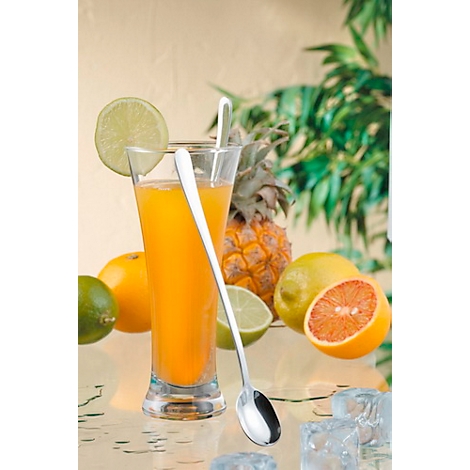 Ein Glas Orangensaft mit Limettenscheibe und Löffel, umgeben von Zitrusfrüchten und Ananas.