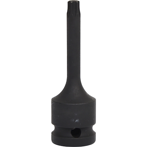 Dunkle Torx-Stecknuss vor weißem Hintergrund. Der lange Schaft hat am Ende einen sternförmigen Kopf.