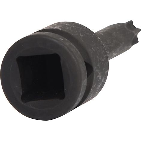 Schwarzer Torx Bit-Adapter mit quadratischem Anschluss und sechszackiger Spitze.
