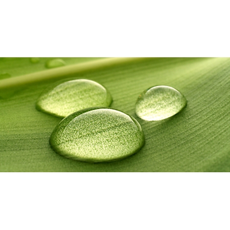 Close-up of three water drops on a green leaf. The drops are transparent and reflect light, the leaf has veins.