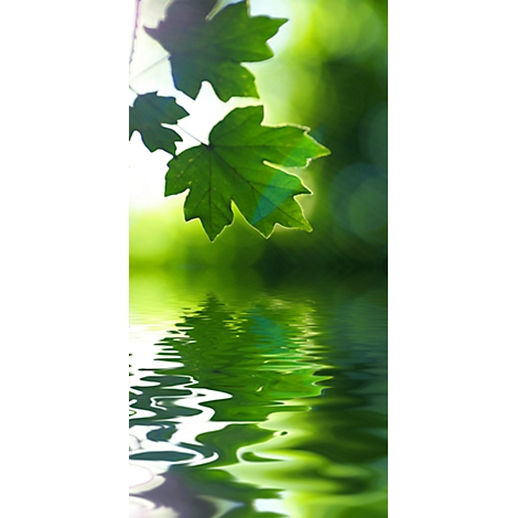 Maple leaf, reflected in water. Light reflecting on the surface.