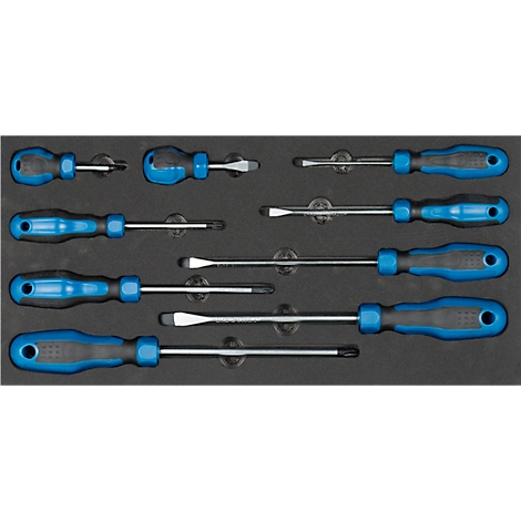 ADB schroevendraaierset, 9-delig, sleuf en kruiskop, incl. schuimrubberen inzet, L 400 x B 190 x H 35 mm