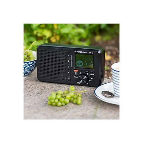 Schwarzes Radio mit Display, Trauben und Kaffee auf Steintisch. Hintergrund: GrÃ¼npflanzen.