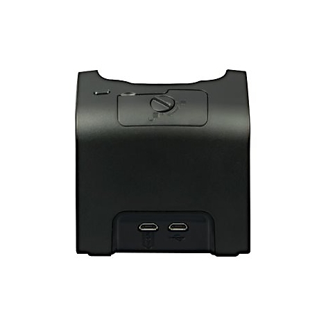 Schwarze Ladestation für ein Gerät mit zwei USB-C Anschlüssen an der Vorderseite.