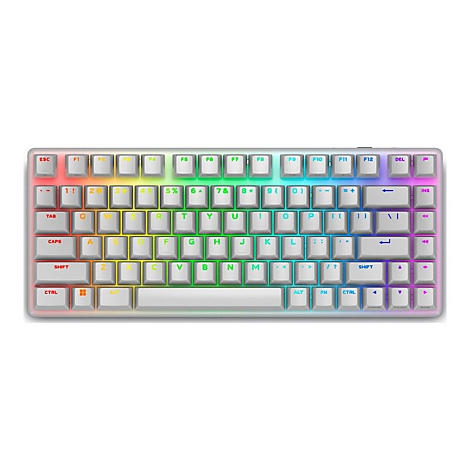 Weiße mechanische Tastatur mit Regenbogenbeleuchtung der Tasten. Tastenbeschriftung in Schwarz.