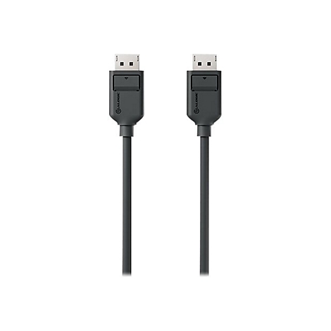 Zwei schwarze DisplayPort-Kabelenden mit Alogic-Logo vor weißem Hintergrund.