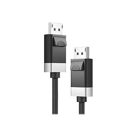 Zwei DisplayPort-Kabelstecker mit schwarzem Gehäuse und silbernem Akzent vor weißem Hintergrund.