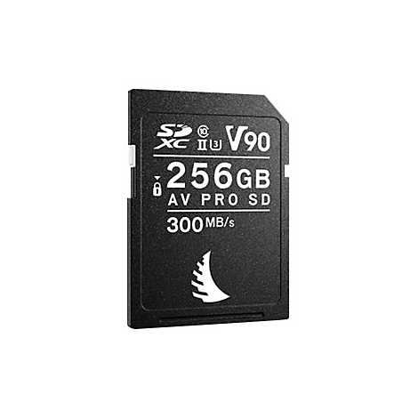 Schwarze 256GB SD-Speicherkarte mit weißer Schrift und Logo auf neutralem Hintergrund.