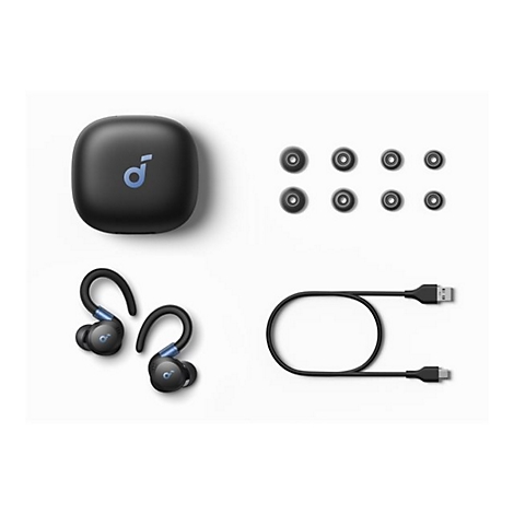 Schwarze Soundcore Ohrhörer mit Ladecase, USB-Kabel und acht zusätzlichen Ohrpassstücken auf weißem Hintergrund.
