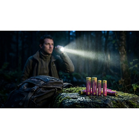 Mann im dunklen Wald leuchtet mit Taschenlampe auf eine Gruppe von Akkubatterien auf einem moosigen Stein.