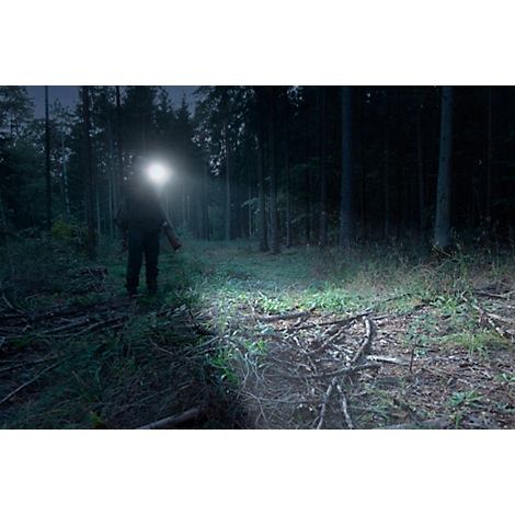 A person with a headlamp stands in a forest, illuminated by the lamp. The path is covered with roots and branches.