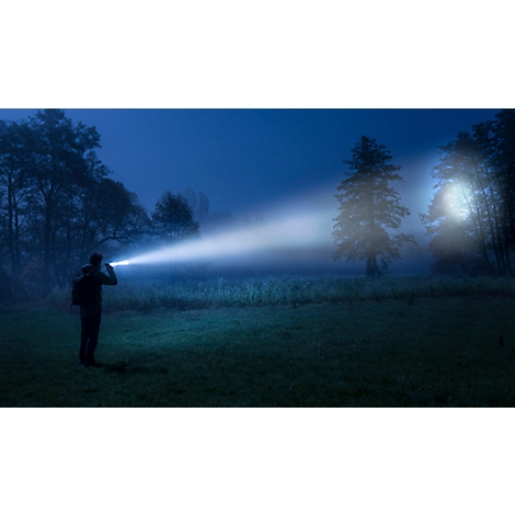 Person in the dark with a flashlight, directing a beam of light into fog. Trees and meadow. Blue night.