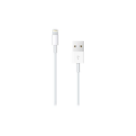 Weißes Lightning-Kabel und USB-Kabel für Apple-Geräte, auf weißem Hintergrund.