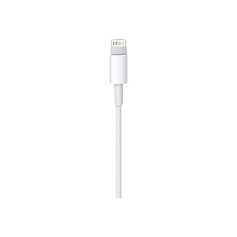 Nahaufnahme eines weißen Lightning-Anschlusses an einem Kabel vor weißem Hintergrund.