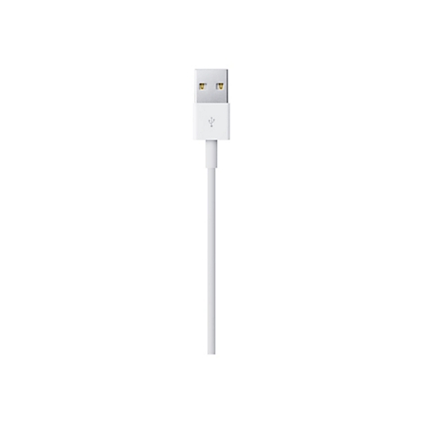 Weißes USB-A-Kabel mit Metallstecker vor neutralem Hintergrund.