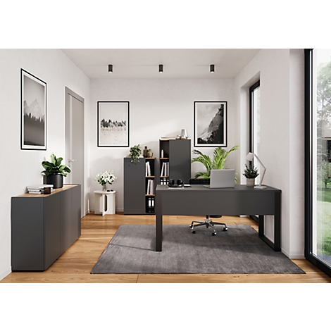 Bureau avec bureau, bibliothèque, plantes et œuvres d'art. Palette de couleurs grise et blanche. Lumière naturelle par la fenêtre.