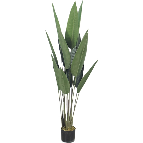 Grey camera outline on white background.