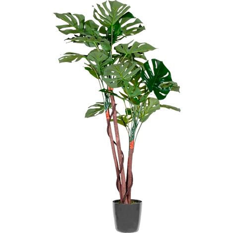 Grey camera outline on a white background.