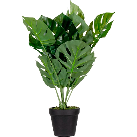 Grey camera outline drawing on a white background.