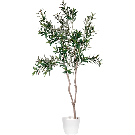 Grey camera outline drawing on white background.