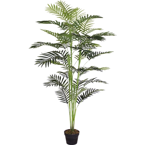 Gray outline drawing of a camera on a white background.