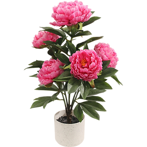 Grey camera outline on a white background.