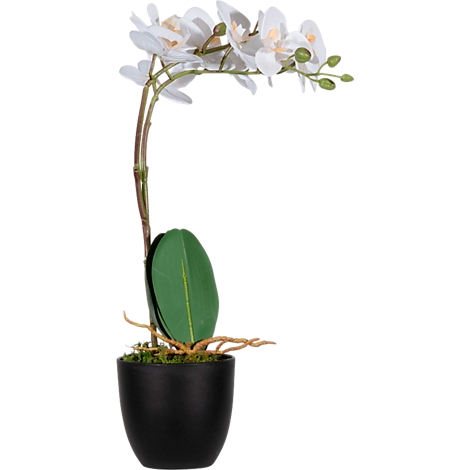 Grey camera outline on white background.