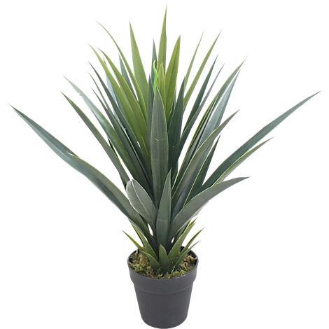 Grey camera outline drawing on white background.