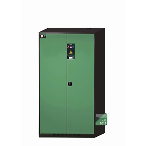 Armoire électrique verte avec cadre et porte noirs. Des symboles sont sur la porte et la couleur est RAL 6011.