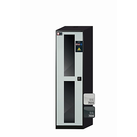Armoire avec façade en verre, en gris clair et noir. Nuanciers : RAL 7035, RAL 7016.