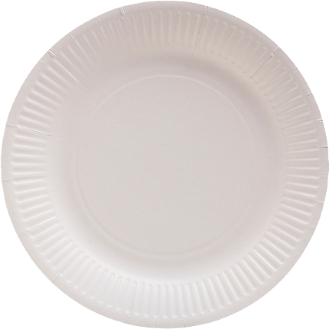 Une assiette en carton ronde et blanche avec une bordure cannelée.