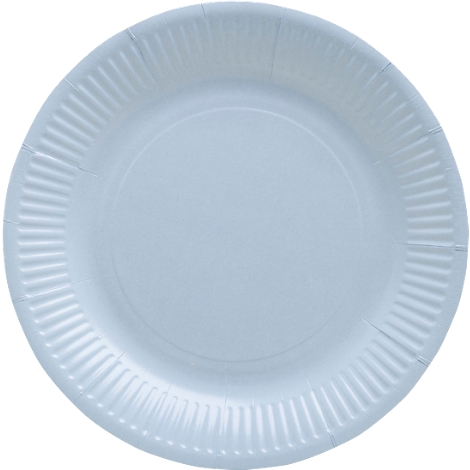 Une seule assiette en papier blanche avec un bord extérieur strié.