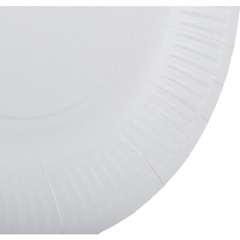 Gros plan d'une assiette en papier blanche avec un bord nervuré.