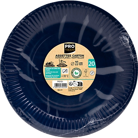 Assiette en carton bleue dans une feuille. Impression avec logo du fabricant, taille, nombre et autres informations.